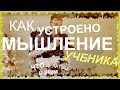 Мышление. Виды и формы мышления