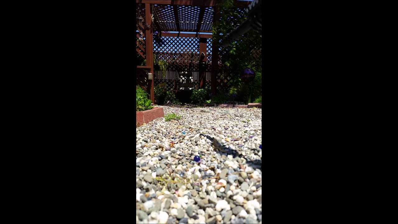 TGR2 Mod M Test Fire