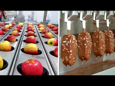 مصانع عملاقة.. شاهد كيف يتم تصنيع الآيس كريم والتفاح داخل المصانع