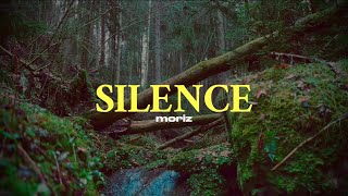 Video voorbeeld van "moriz - silence (Official Lyric Video)"