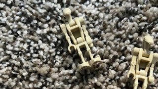 L Sunbear1106 Is Going Live