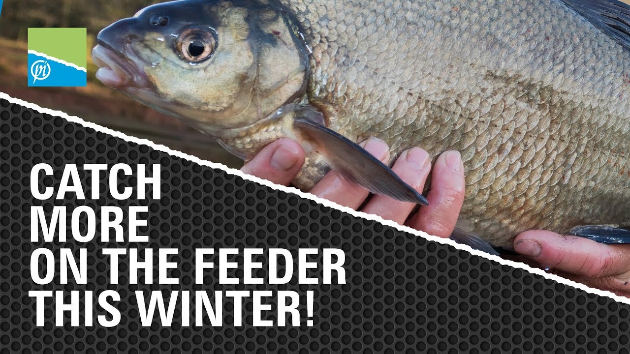 Catch More on the Feeder This Winter!