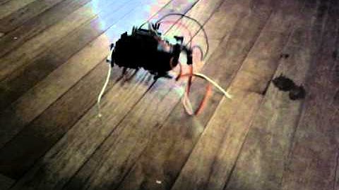 Insect robot from Make: Arduino Bots and Gadgets