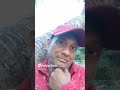 @dil