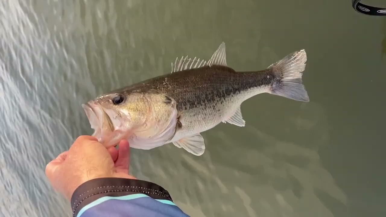Kayak Adventure Series Bass Fishing Fun on Lake Crockett
