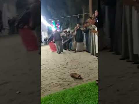 سامر عرب الطحاوية ب بشارة نعم دكتور الإنسانية