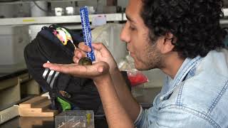 Bodega Bay research video