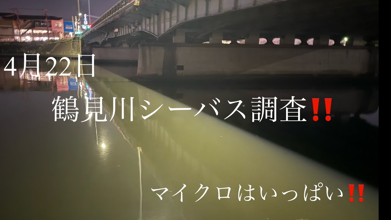 NEC 魚八景 SH3033-00 ディスク 川魚7 レインボートラウト NEC 魚八景 SH3033-00 ディスク 川魚7 レインボートラウト