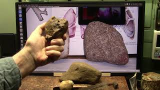 Explaining How Soft Tissue from Dinosaurs stayed fresh after Millions of Years and the Great Flood screenshot 5