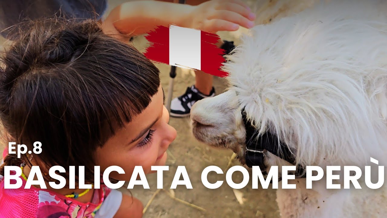 IMPRESA INNOVATIVA IN TERRONIA: L'ALLEVAMENTO ALPACA IN BASILICATA - Welcome to Terronia - st.1ep. 8