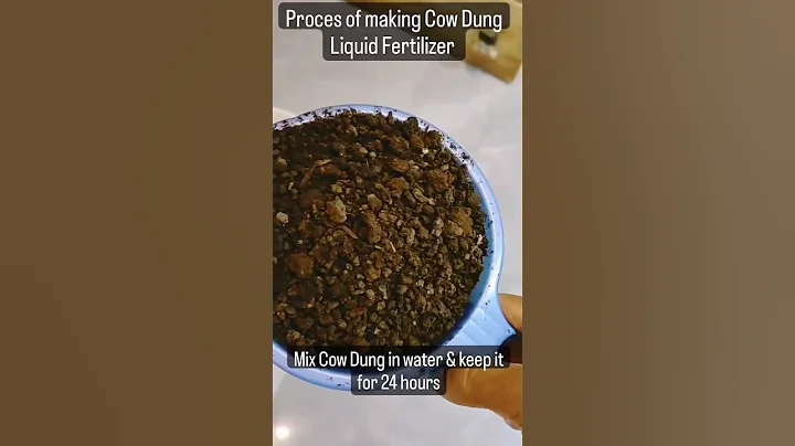 Process of making Cow Dung Liquid Fertilizer #shorts #viral #shortvideo #youtubeshorts #trending