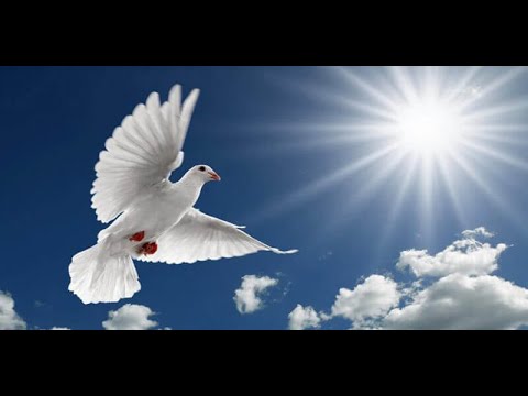 Pentecost sermon 2021 -'From dry bones to spiritual life'. Pentecost sermon 2021 -'From dry bones to spiritual life'.