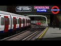 TS 2021 Trains at Ruislip / Piccadilly & Metropolitan Lines