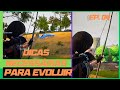 DICAS ESSENCIAIS PARA EVOLUIR E PEGAR OS PALS NECESSÁRIOS PARA O INÍCIO - PARTE 2 EP. 04
