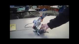 LEGO NXT Mindstorms Robotics Arm
