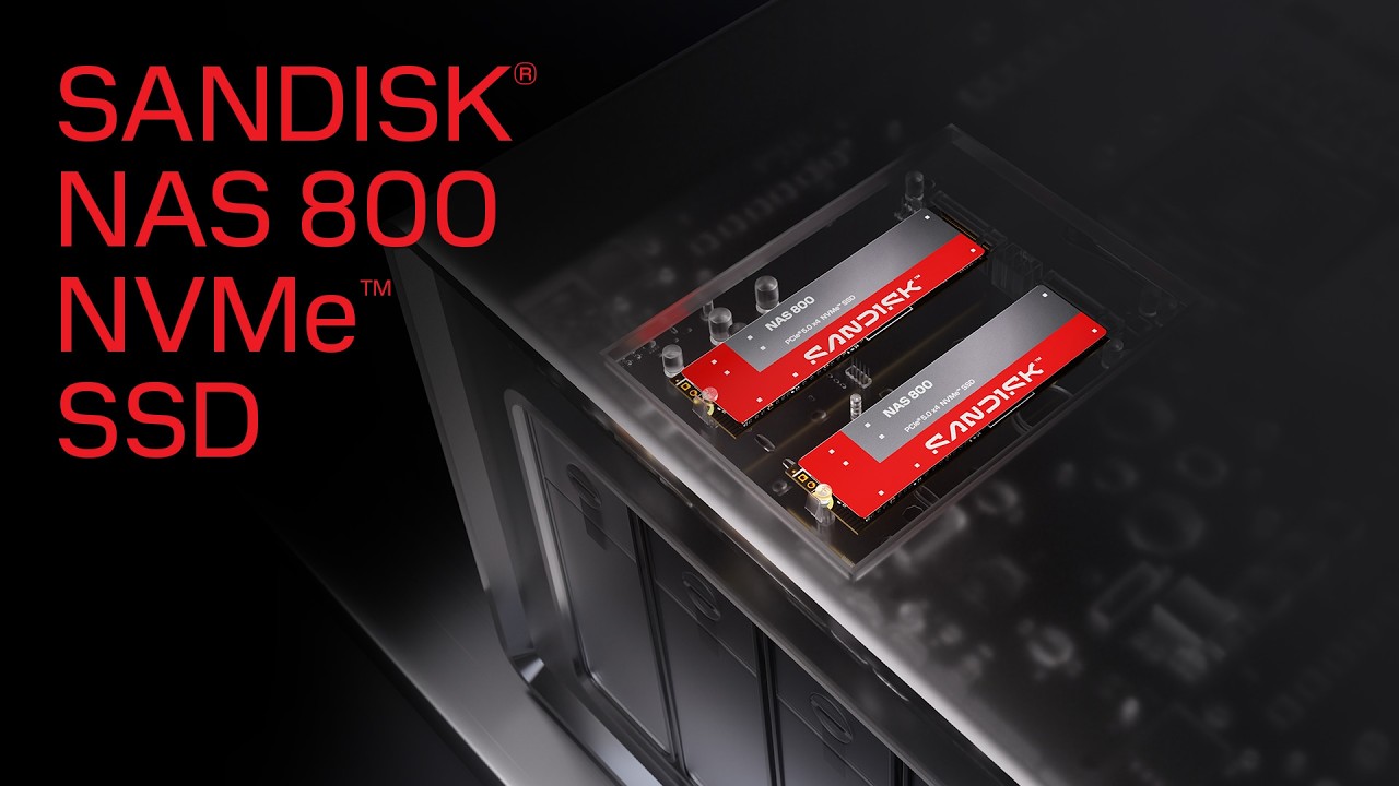 SANDISK NAS 800 NVMe™ SSD