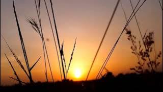 Lagu Barat Populer Hits TikTok 2021