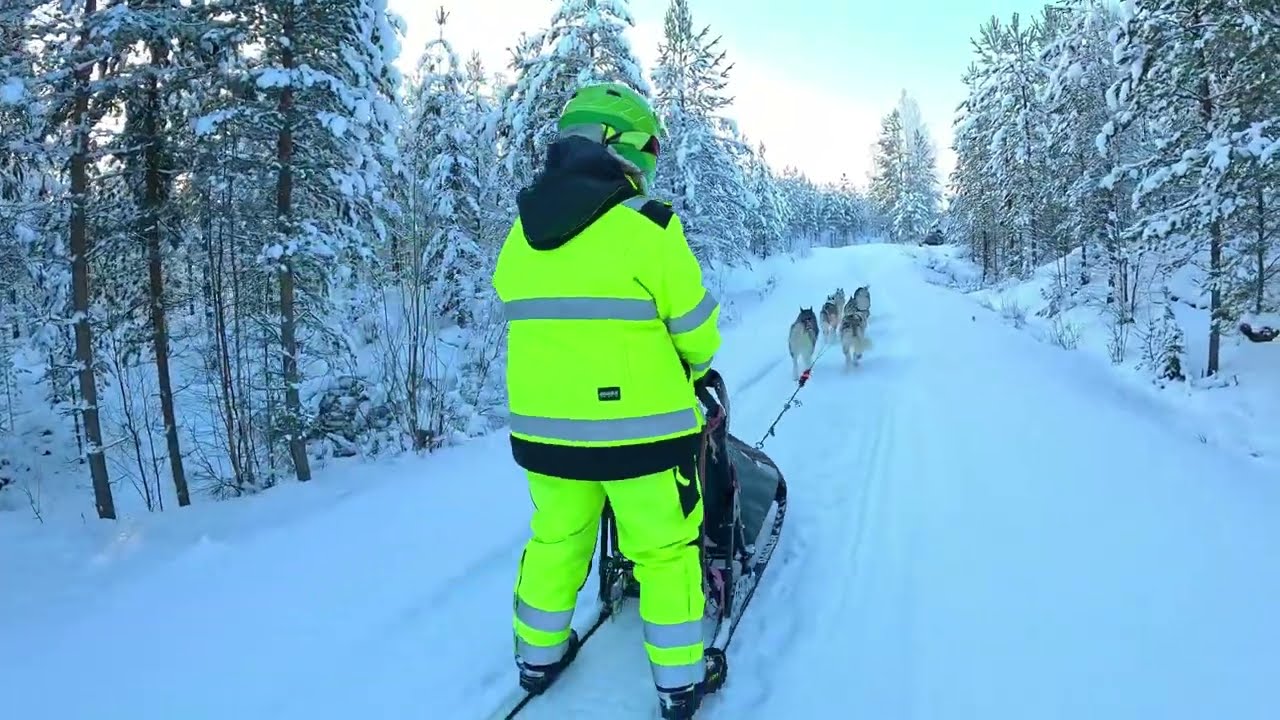 Influenssa yrittää lannistaa