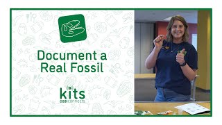 COSI Connects Dinosaur Kit - Activity Videos - Document a Real Fossil