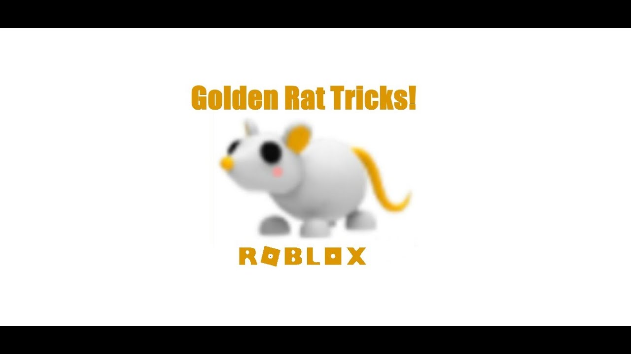 Showing you guys all the Golden Rat tricks!! In Adopt Me! ROBLOX YouTube