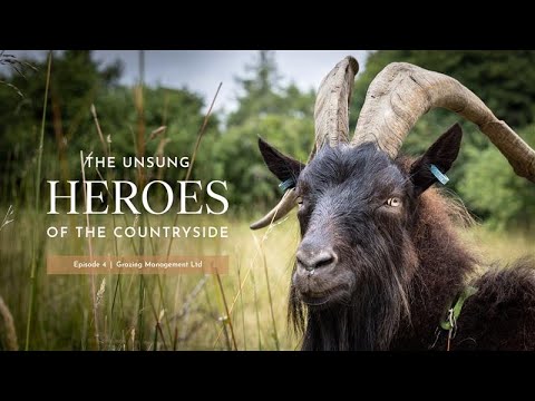 The unsung heroes of the British countryside | Episode 4: Hooves ...