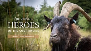 The unsung heroes of the British countryside | Episode 4: Hooves & Habitat
