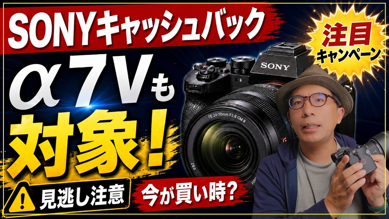 2026] Is Now the Time to Buy? A Simple Breakdown of the Sony Alpha