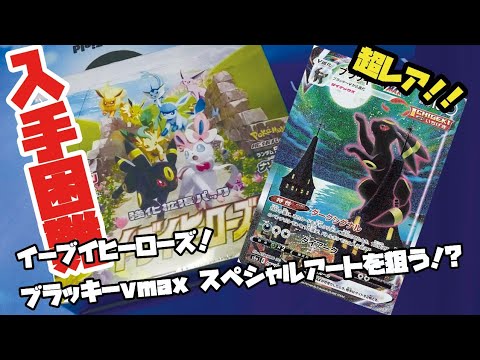 イーブイヒーローズ ブラッキーv Maxとかジブリじゃんw ハッ いや すみませ ンン ポケモンカード Youtube
