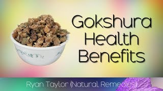 Gokshura: Benefits and Uses