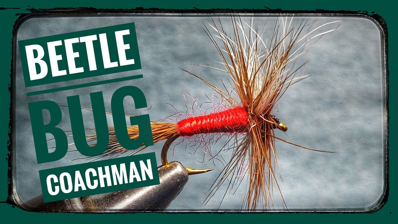 Beedle Bug Coachman - YouTube