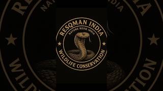 Red necked keelback, red collar snake, India snake documentary, wildlife short,poisonous snake India
