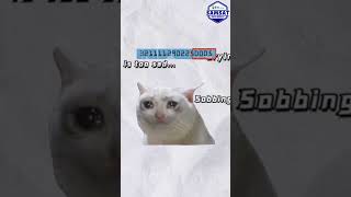 𝘼𝙍𝙏𝙄 16 𝘿𝙄𝙂𝙄𝙏 𝘼𝙉𝙂𝙆𝘼 𝙉𝙄𝙆 𝘿𝙄 𝙆𝙏𝙋 𝙆𝘼𝙈𝙐