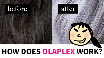 What is the main ingredient in Olaplex?
