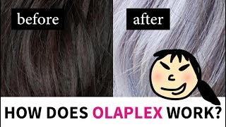 How Does Olaplex Work? Lab Muffin Beauty Science