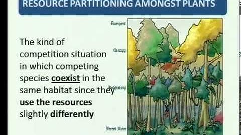 Matric revision: Life Sciences: Community ecology (3/5): Interactions (3/5): resource partitioning