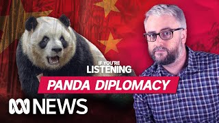 Want a panda? Then, be nice to China | If You're Listening | ABC News In-depth