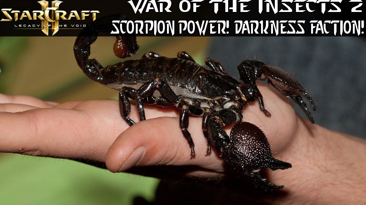 Faction Insect Scorpion Power! Darkness Faction! - War of the Insects 2 Mod ...