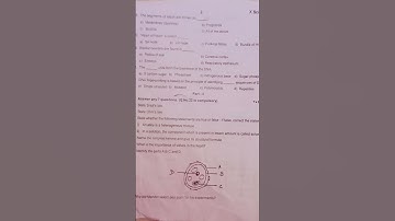 10th science second revision question paper 2025#10th#question #science