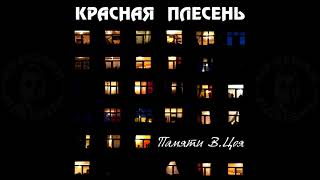 Красная Плесень - У Кого-То Есть... Новая Версия. Альбом 