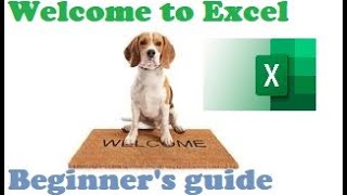 001. NEW to EXCEL Learn the BASICS that every BEGINNER needs to know and make a REPORT