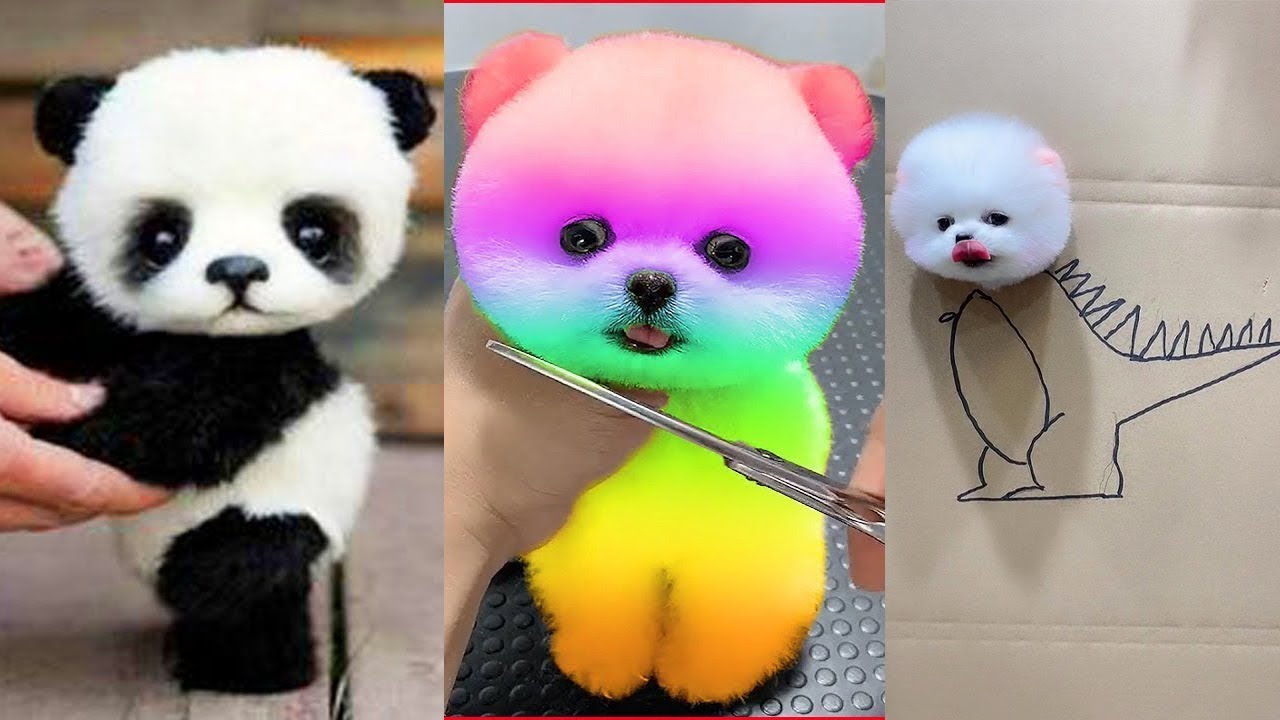 Funny And Cute Panda Will Make You Laugh Your Head Off Funny Babies And Pets Youtube