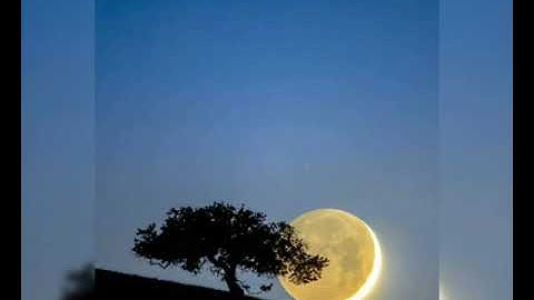 قراءة مميزة للشيخ القارئ عمار العولي من سورة الفرقان