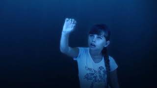 Humpbacks of Hawaii Immersive Visual Encounter