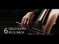 Cello Suites trailer | Netherlands Bach Society