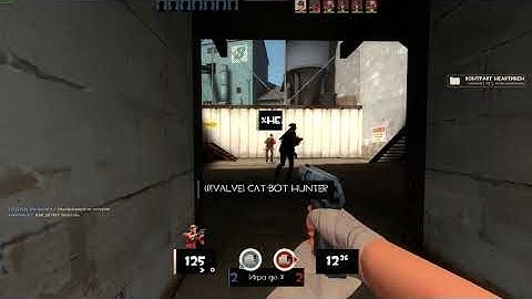 Team Fortress 2 valve niggerkiller and cat-bot revenge