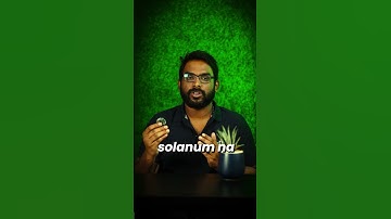 What is Array  | Data Structures and Algorithm Series in தமிழ் | #shorts