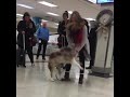 When You Haven't Seen Mum In Four Months - Excited Dog Greets His Owner At Airport