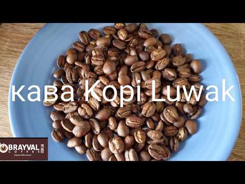 Video: Hur Man Gör Kopi Luwak Kaffe