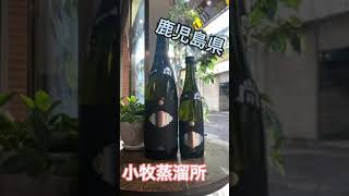 【サクッと焼酎】一生（一尚）飲んでほしい焼酎 #Shorts