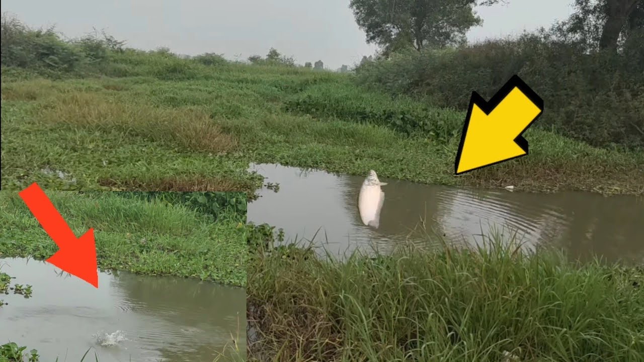 Hành Trình Chuyến Câu. Vĩnh Hưng..@tranchungcuchi @tranchungnhaclinh